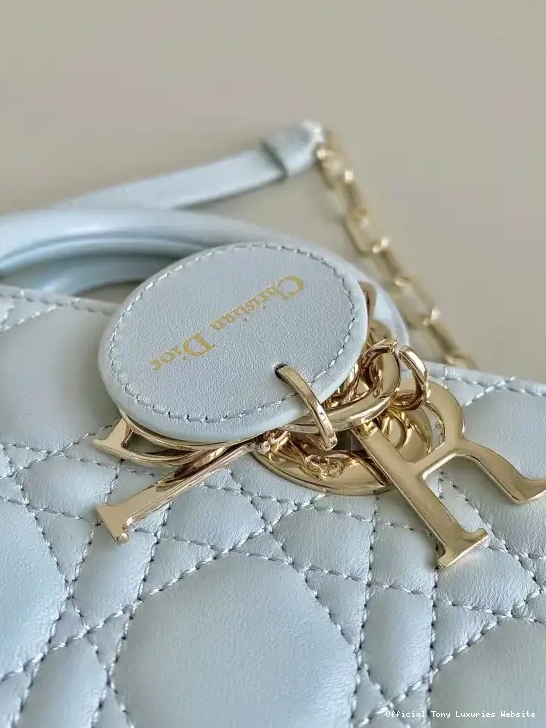 Tony Luxuries BAG-22*12*6CM D-JOY diro LADY 0510